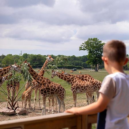 מלון מריבו Knuthenborg Safaripark מראה חיצוני תמונה