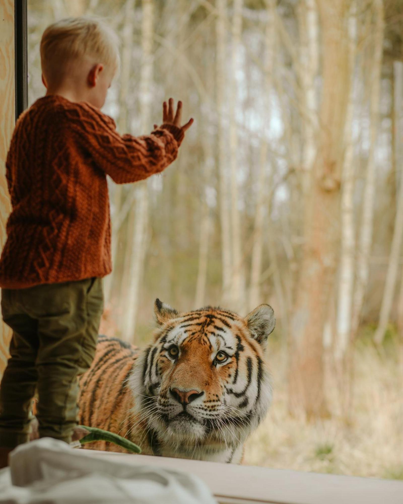 מלון מריבו Knuthenborg Safaripark מראה חיצוני תמונה