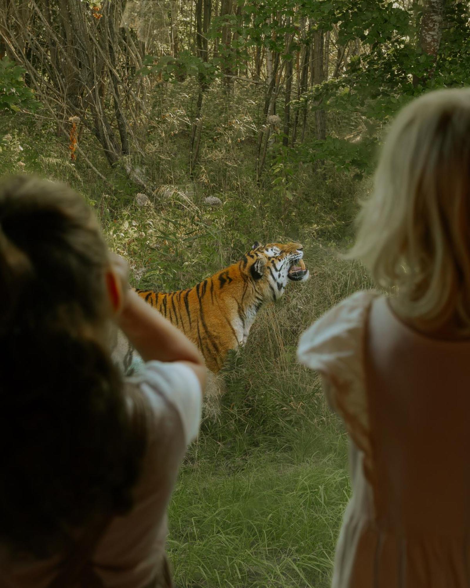 מלון מריבו Knuthenborg Safaripark מראה חיצוני תמונה