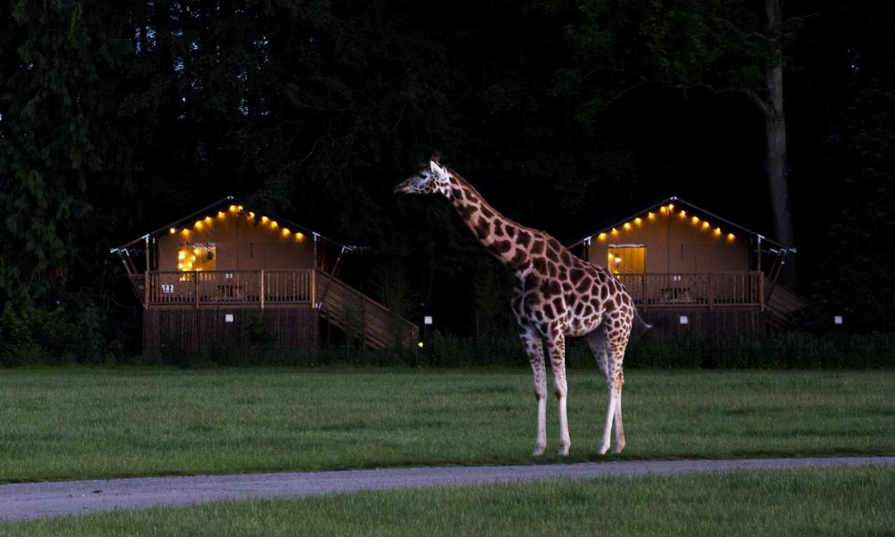 מלון מריבו Knuthenborg Safaripark מראה חיצוני תמונה